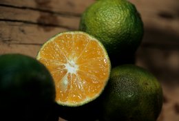 Citrus-fruit;-Close-up;-Comoros-Archipelago;-France;-Fruit;-Indian-Ocean;-Kaleidos;-Kaleidos-images;-La-parole-à-limage;-Laurent-Abad;-Mayotte;-Stories-Pictures;-Wood